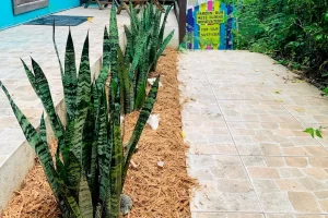 salomon side salomon side